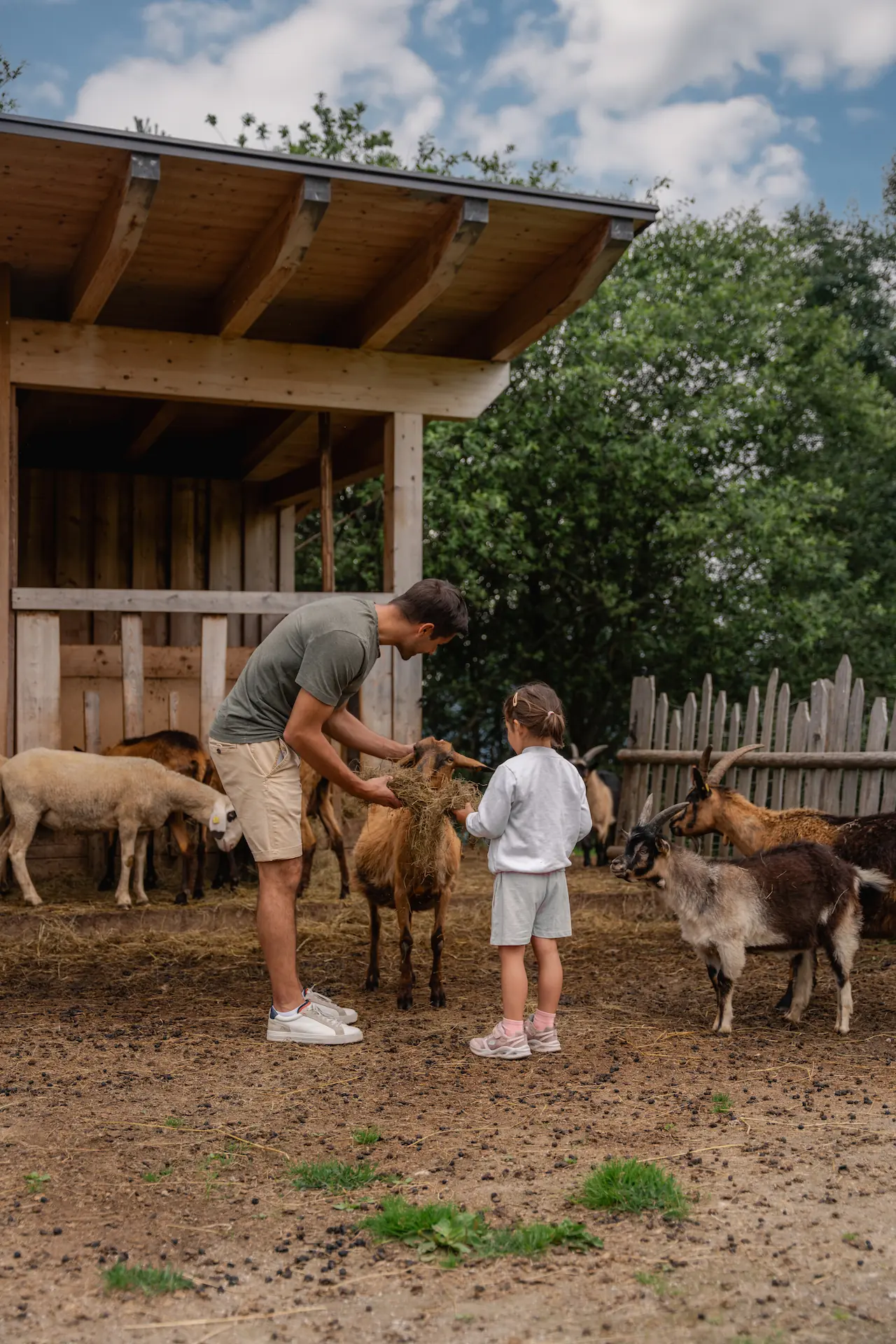 Streichelzoo am Bergdiamant