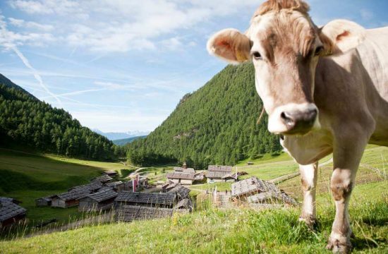 Appartamenti Bergdiamant a Maranza - Alto Adige