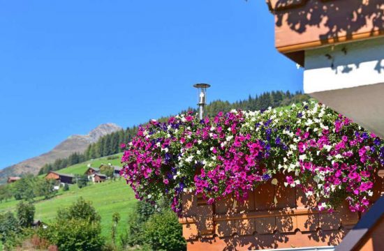 Apartments Bergdiamant in Maranza - South Tyrol