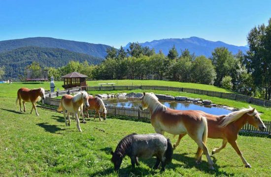 Appartamenti Bergdiamant a Maranza - Alto Adige