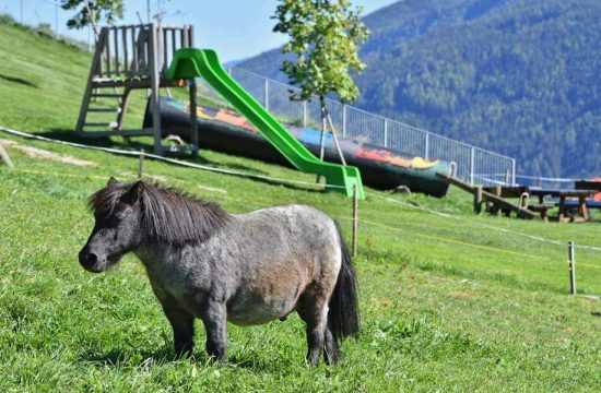 Appartements Bergdiamant in Meransen - Südtirol