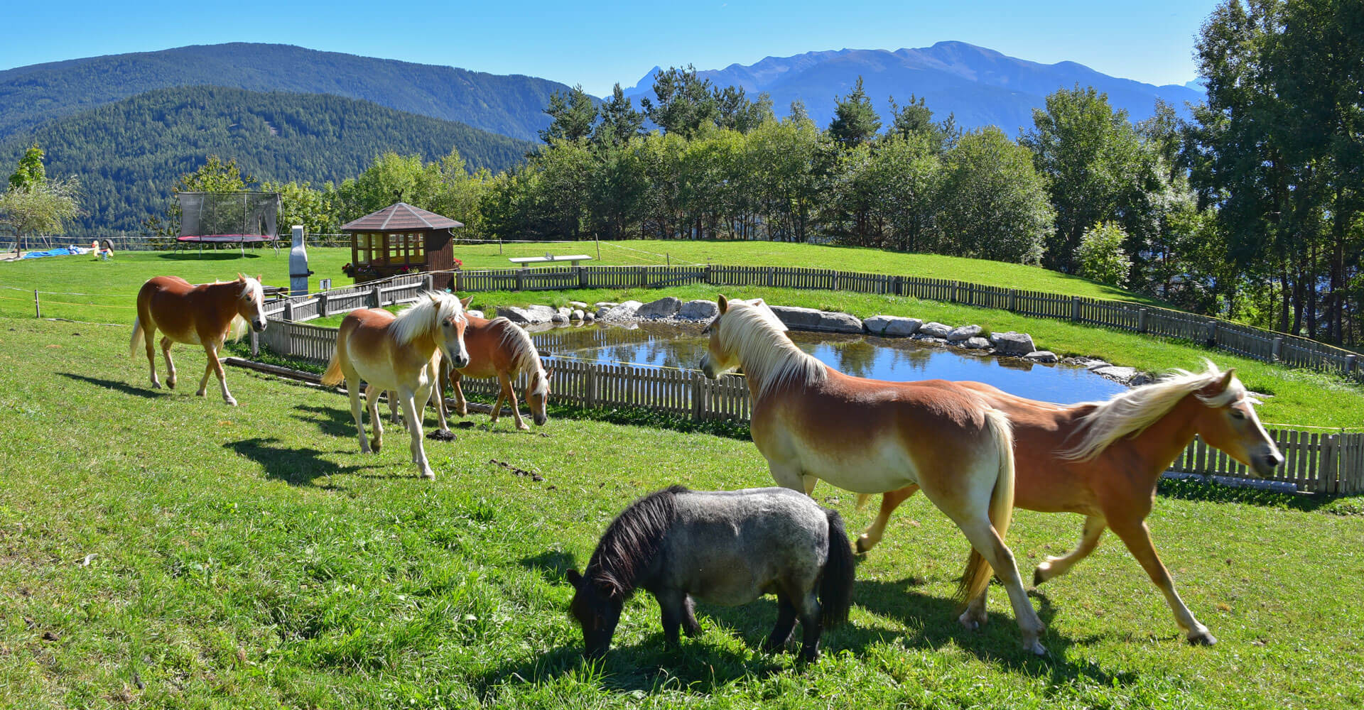 Ferienwohnung Meransen Südtirol