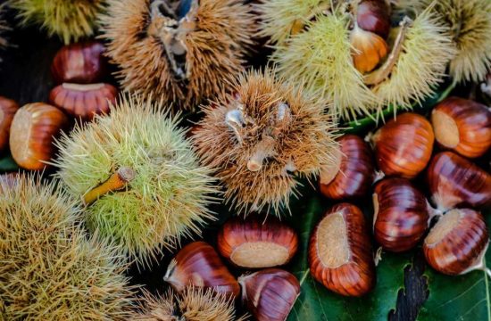 Vacanze escursionistiche nelle montagne di Maranza in autunno