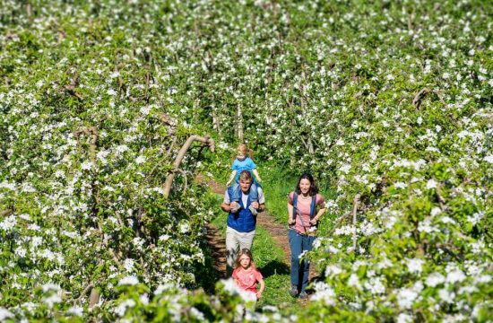 Urlaub im Frühling Meransen