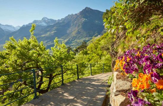 Experience Maranza, Mount Gitsch and Val Giovo in the spring